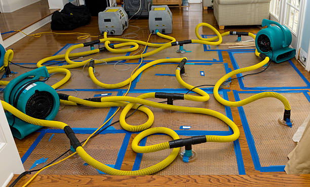 Professional Storm Water Damage Restoration technician working in Boyd, TX